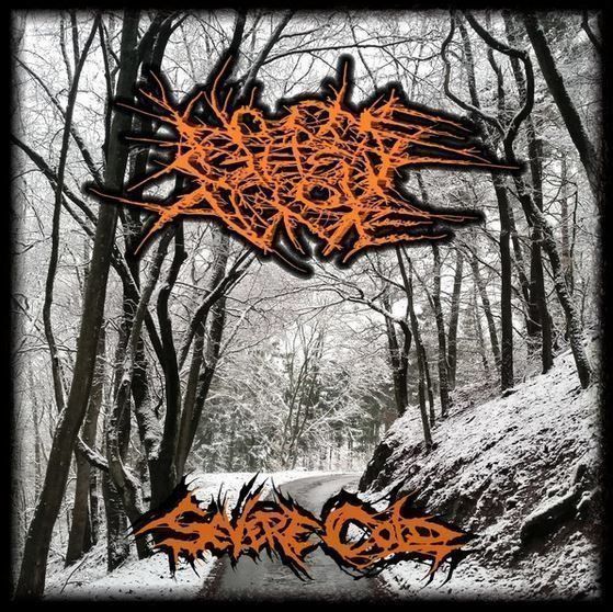 CD: No one gets out alive - Severe cold – Usato da St-Cergue venduto da VeganWarrior