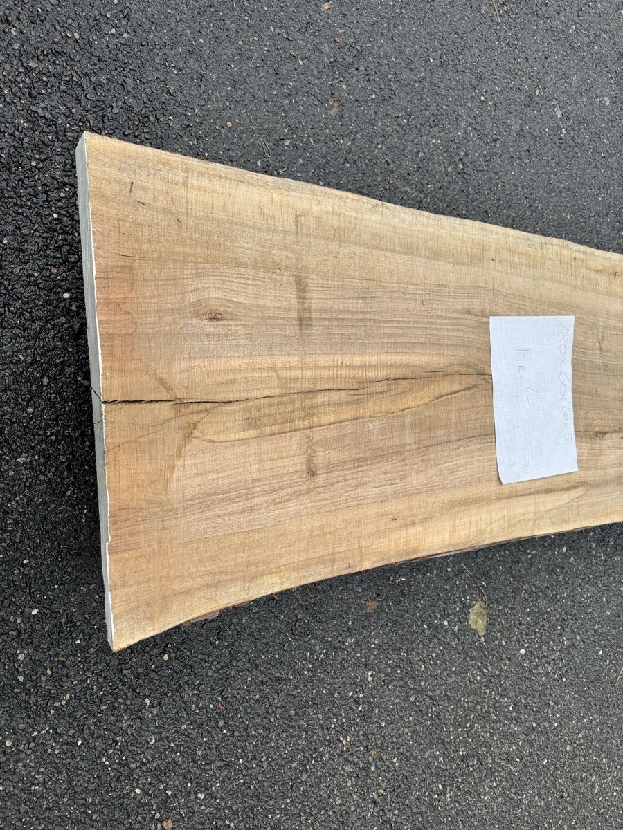 Articoli in legno: Nussbaum Klotzbrett 280  cm lang! – Usato da Gränichen venduto da onkel_xxl 6