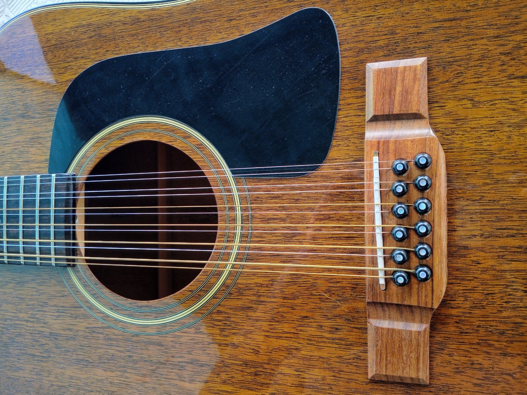 Washburn Strumenti musicali: 1981 Washburn D-15M12 /810075 – Usato da Solothurn venduto da fro_28sy 4