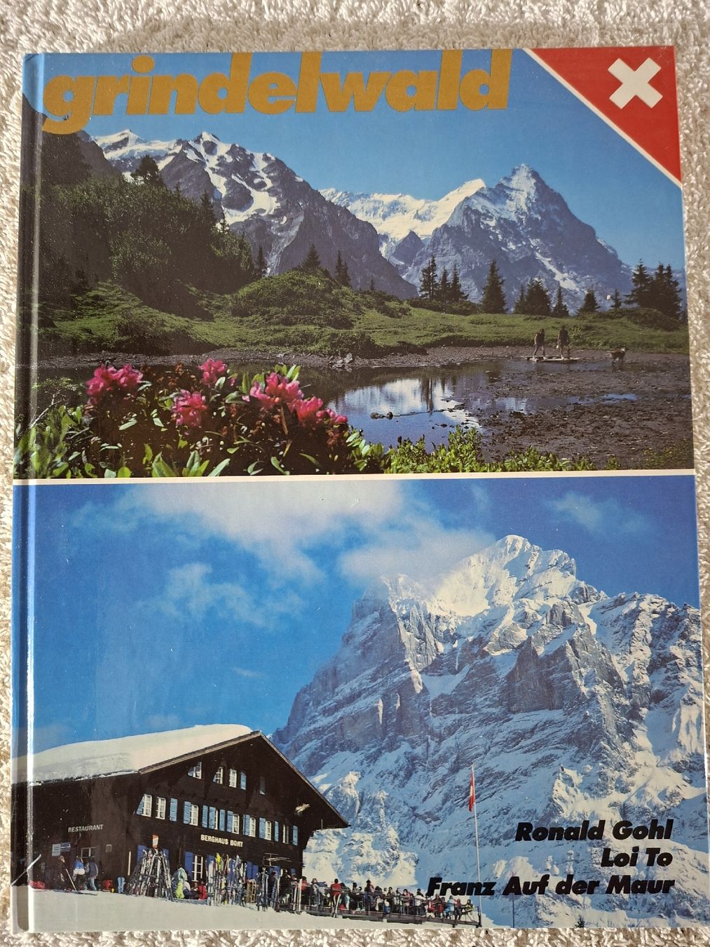 Libri: 3 Büchlein Grindelwald – Usato da Grindelwald venduto da carro5 3