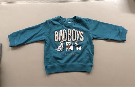 Kids Sweatshirt 9-12m/80 Very Good Condition