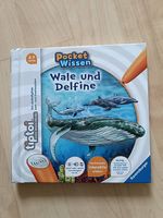 tiptoi® Buch Pocket Wissen: Wale und Delfine, 4-7 Jahre