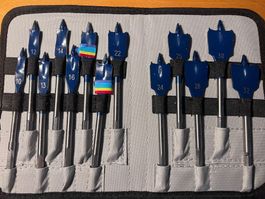 Bosch Professional Holzbohrer-Set 13-teilig 10–32 mm mit Tas