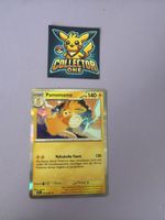 Pokemon Pamomamo Holo 034/094