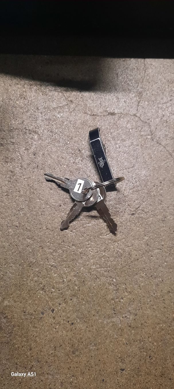 Westfalia-Automotive Ganci per rimorchio: Westfalia Veloträger – Usato da Gerolfingen venduto da nic_21 2