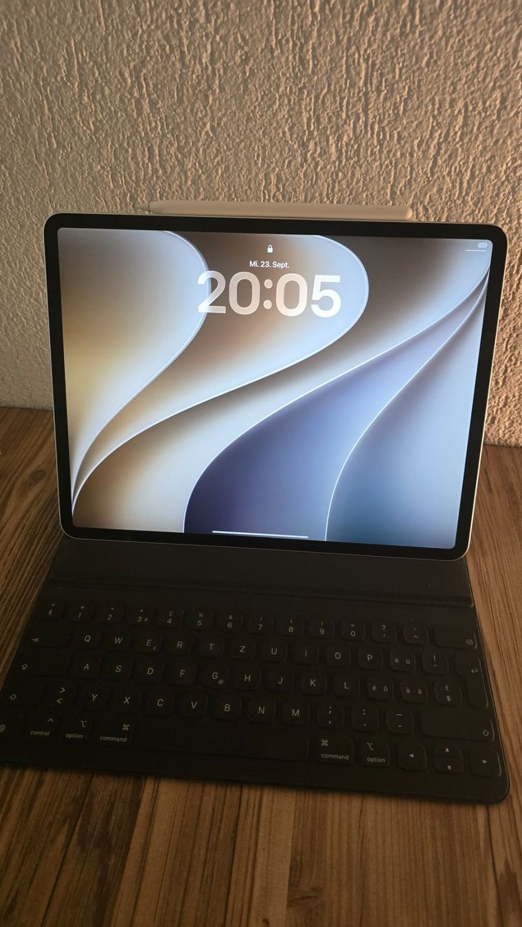 Apple Tablettes PC: iPad Pro 12.9 " / Zoll, 4. Generation – D'occasion à Winterthur par GreenSkyline 1