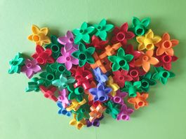 Duplo (Y95) 50 Blüemli