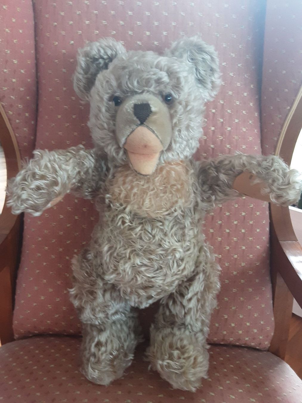 Giocattoli: STEIFF Zotty Teddybär – Usato da St. Gallen venduto da charly92 3