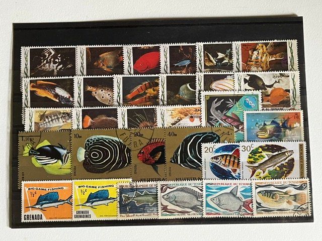 Tutti i francobolli: 30 timbres différents thématique poisson n°1 – Usato da Satigny venduto da buc_d7s5