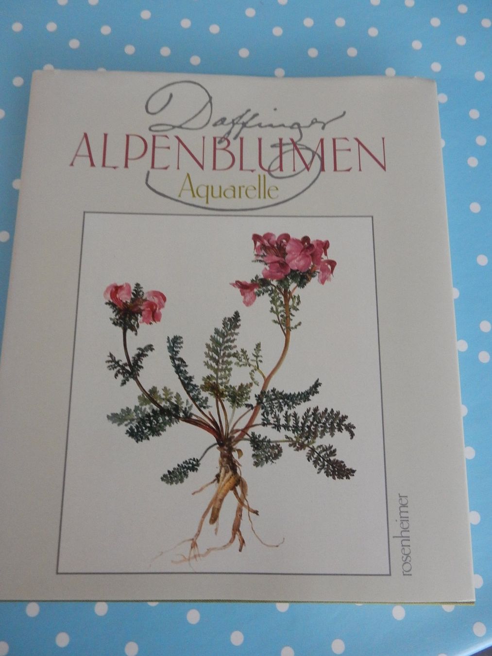 Bücher: M. Daffinger Alpenblumen Aquarelle wunderschönes Blumenbuch – Neu (gemäss Beschreibung) aus Jona von JOberg_25