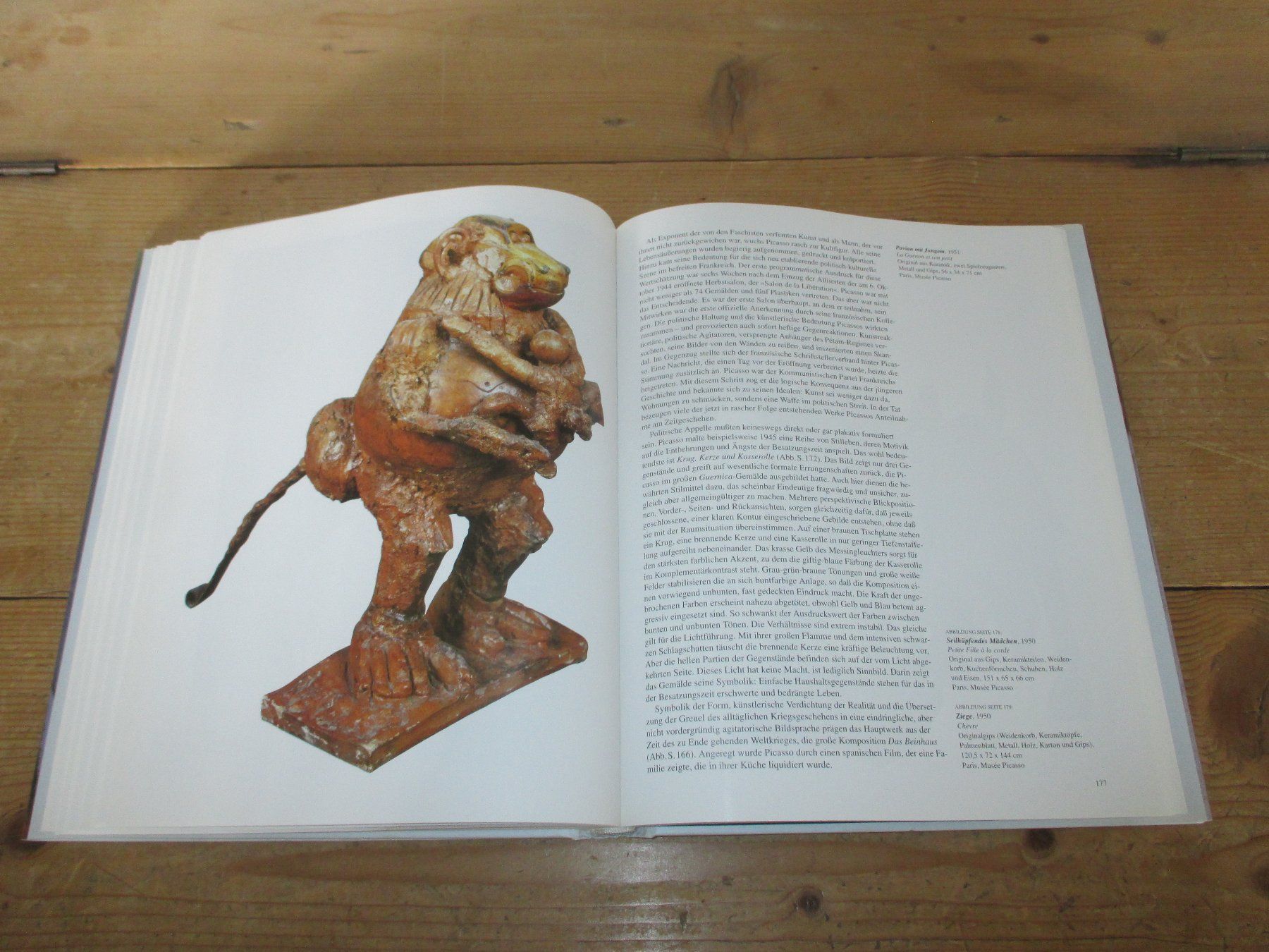 Livres: Picasso – D'occasion à Flims - Dorf par Stagediver 4