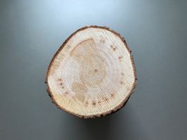 Holzscheiben