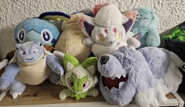 Pokemon Plüsch Set 5