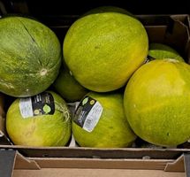 Ab 1.- fr 3 Samen LIMELON Zarte Melone mit Limettengeschmack
