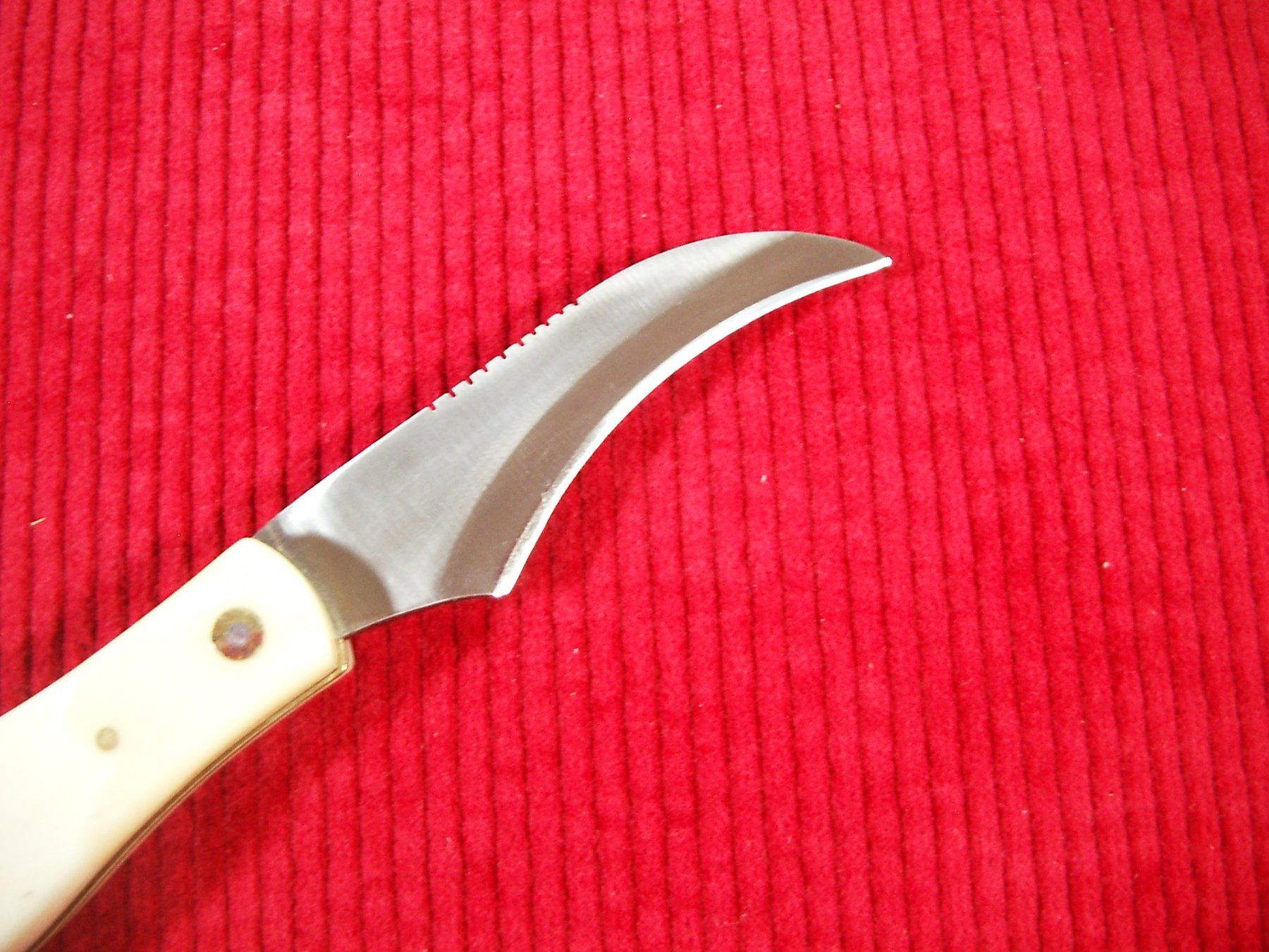 Coltelli tascabile: Pilzmesser Edelstahl-Klinge, Knochen-Griffschalen, Lederetui – Nuovo e nell'imballaggio originale da Laupen ZH venduto da tonisculati 3