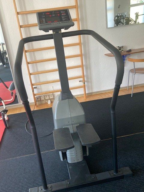 Hometrainer: Profi-Stepper Johnson mit div. Trainings-Programmen – Usato da Affoltern am Albis venduto da rollotomasi 1