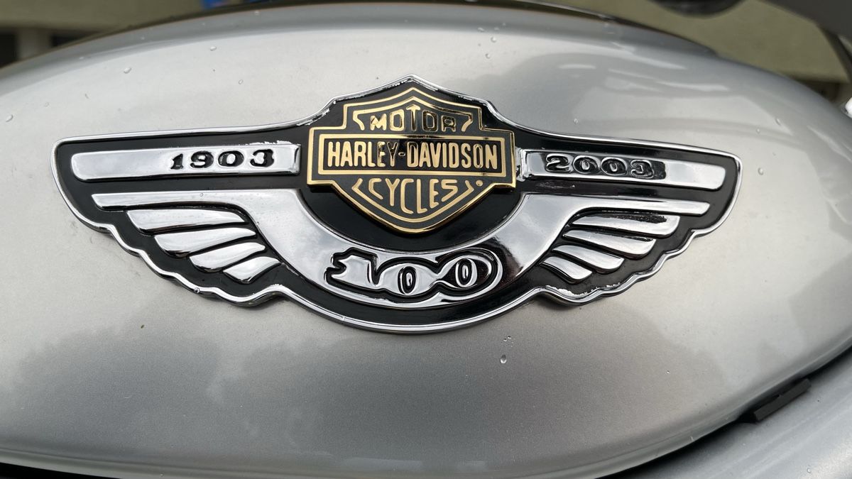 Harley-Davidson Chopper: Harley-Davidson V-Rod Jubiläumsversion – Gebraucht aus Strengelbach von jumbo76 7
