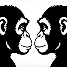 Profile image of Vic_3.2.1.meins_