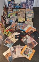 Schallplatten Sammlung - Diverse Interpreten - Vinyl LP's🎯