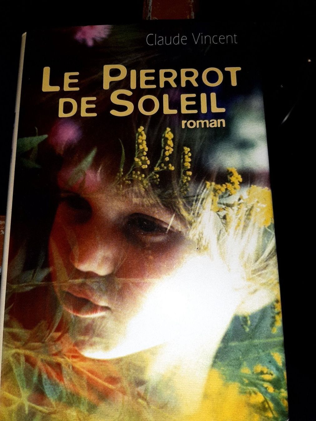 Libri: le pierrot de soleil claude vincent – Usato da Le locle venduto da juliensaran