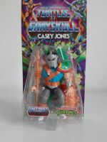 Turtles Of Grayskull MOTU Action Figure - Casey Jones