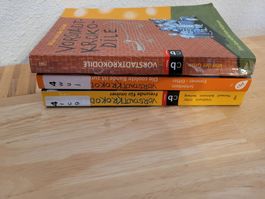 Vorstadt Krokodile 1,2,3