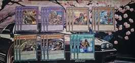 Yugioh Amazonisch Karten set