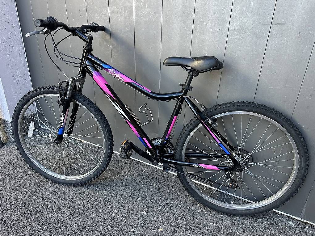 Vélos: Bicicletta MTB da ragazza  – D'occasion à Quartino par DiloUsato 3