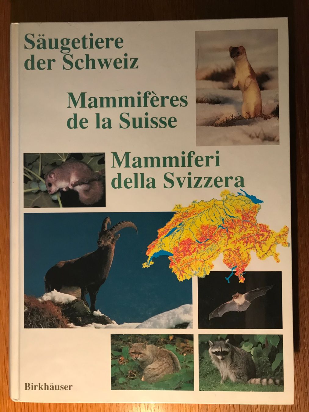 Libri: Säugetiere der Schweiz - Verbreitungsatlas – Usato da Luzern venduto da mey_s13