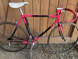 Rennvelo  Campagnolo Nuovo Record
