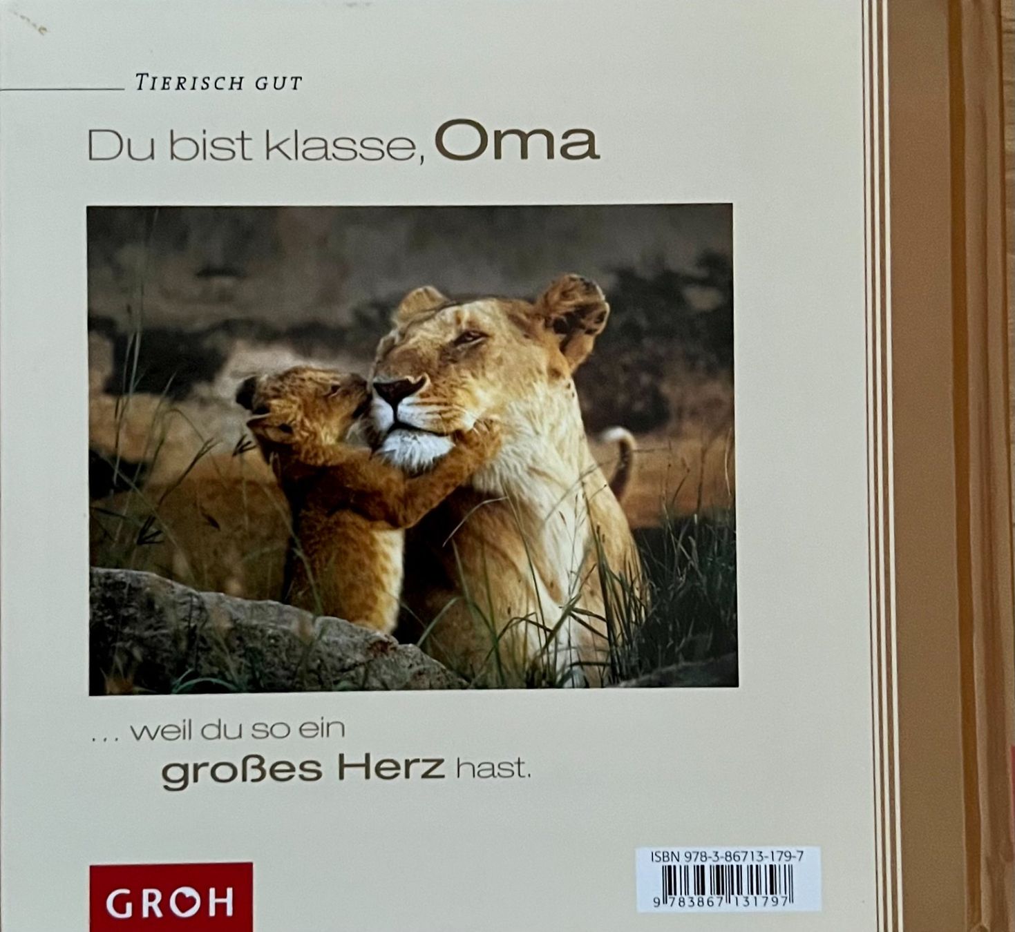 Libri: Buch - Du bist klasse, Oma – Usato da Leimbach TG venduto da manu-tg 1
