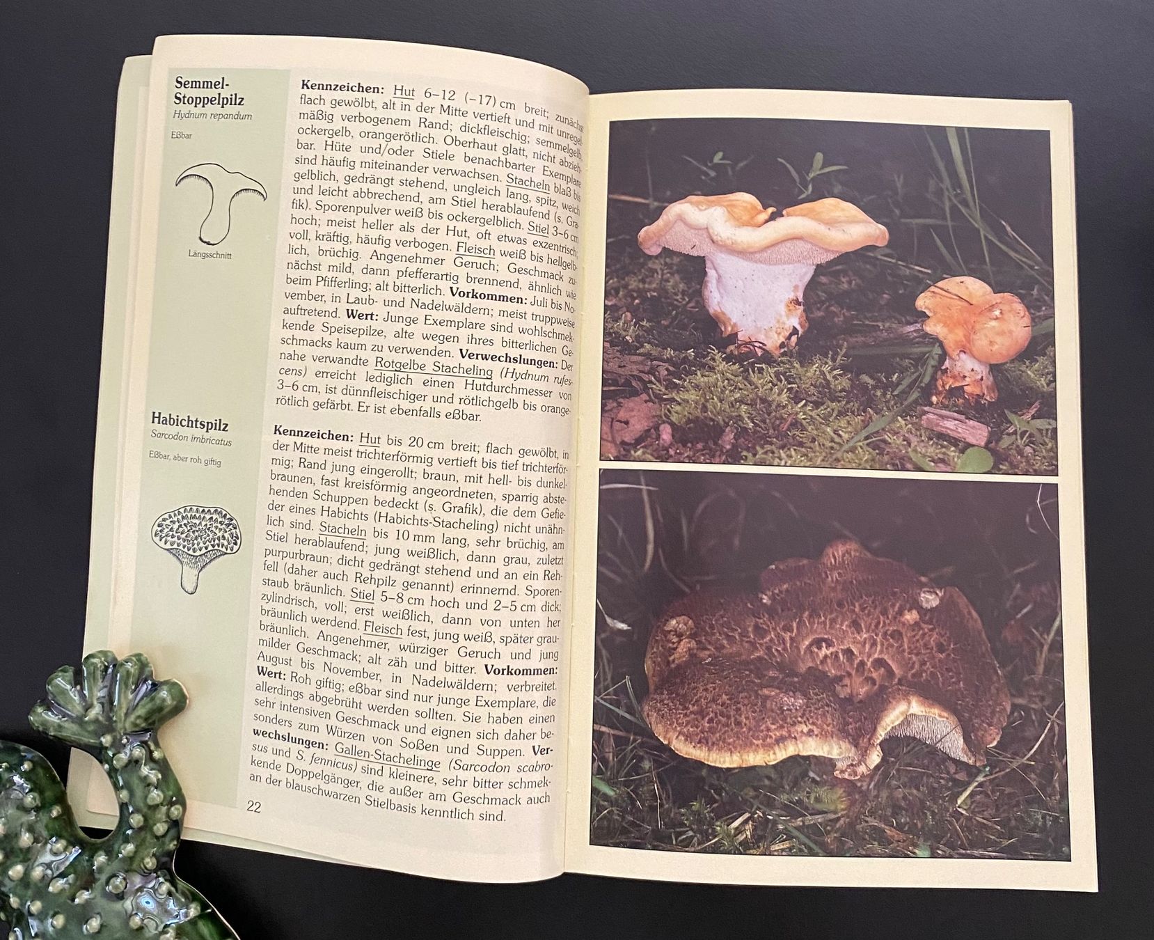 Libri: Pilze / Speise- und Giftpilze – Usato da Nussbaumen AG venduto da schuba2000 2