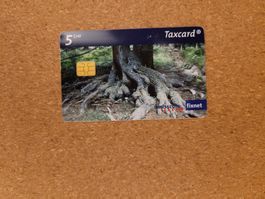Taxcard Baum