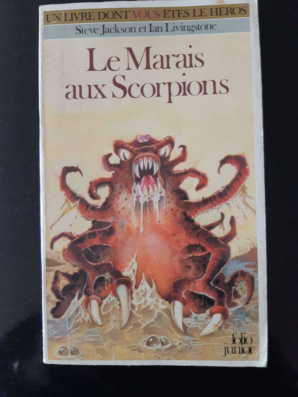 Libri: LDVELH - Le Marais aux Scorpions – Usato da Belfaux venduto da Fanfouet