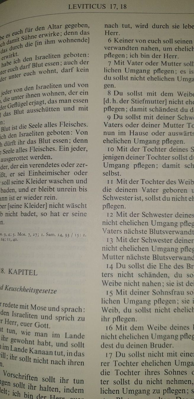 Libri: Bibel Rot von 1964 – Usato da Zürich venduto da bre_22v9 5
