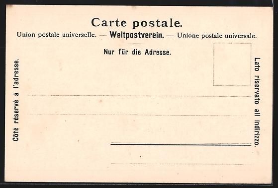 Cartoline postali: AK Morges, Vue du Lac – Usato da Berlin venduto da bartko-reher 1