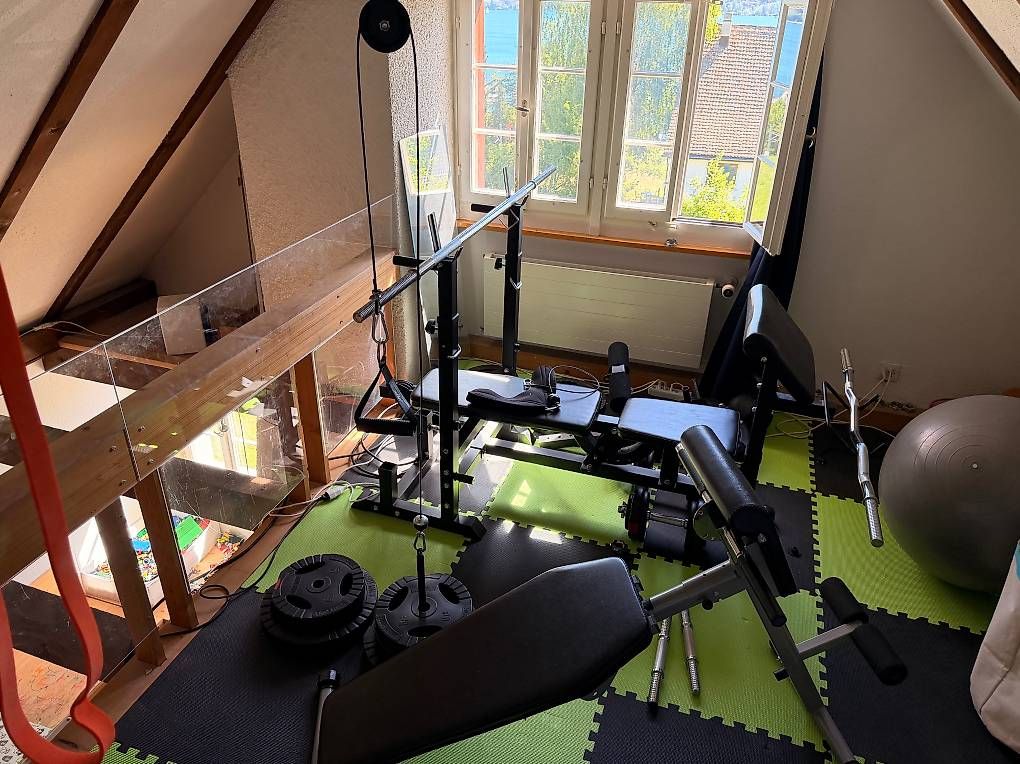 Hometrainer: Gorilla Press Bench Kraftstation inkl. Gewichte – Usato da Zürich venduto da mic_v7zw 4