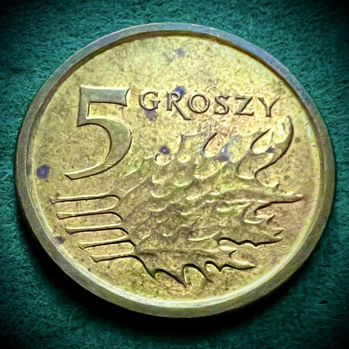 Tutti le monete: 5 GROSZY 2016 POLEN – Usato da Gossau SG venduto da NUMOPOL 1