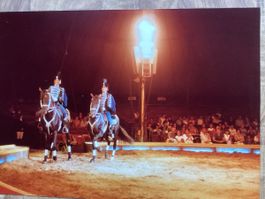 Circus Knie Foto 1980