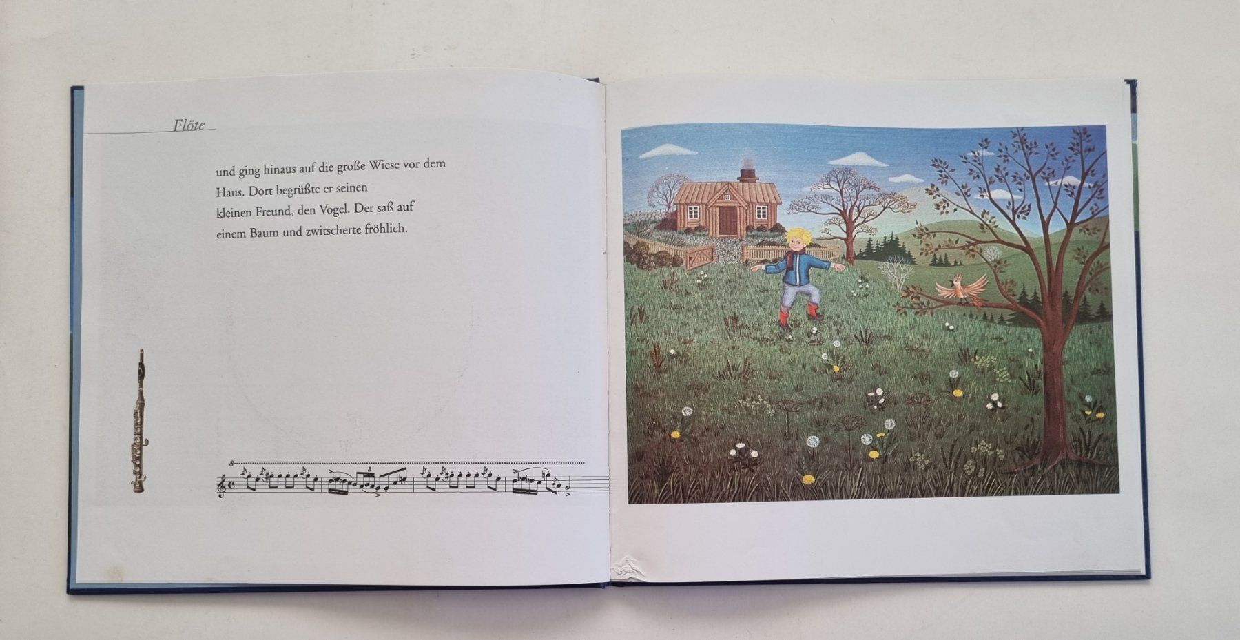 Libri: Peter und der Wolf - Kinderbuch mit CD Prokofjew – Usato da Opfikon venduto da Diversamente 5