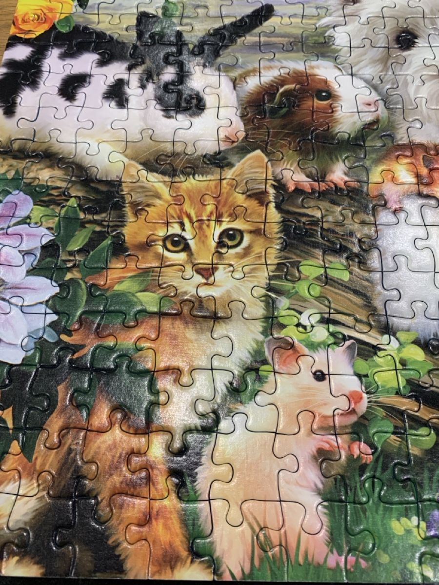 Puzzles: Ravensburger Puzzles 2x 300 pièces – Neuf (Voir description) à Prilly par Sissi_1009 4