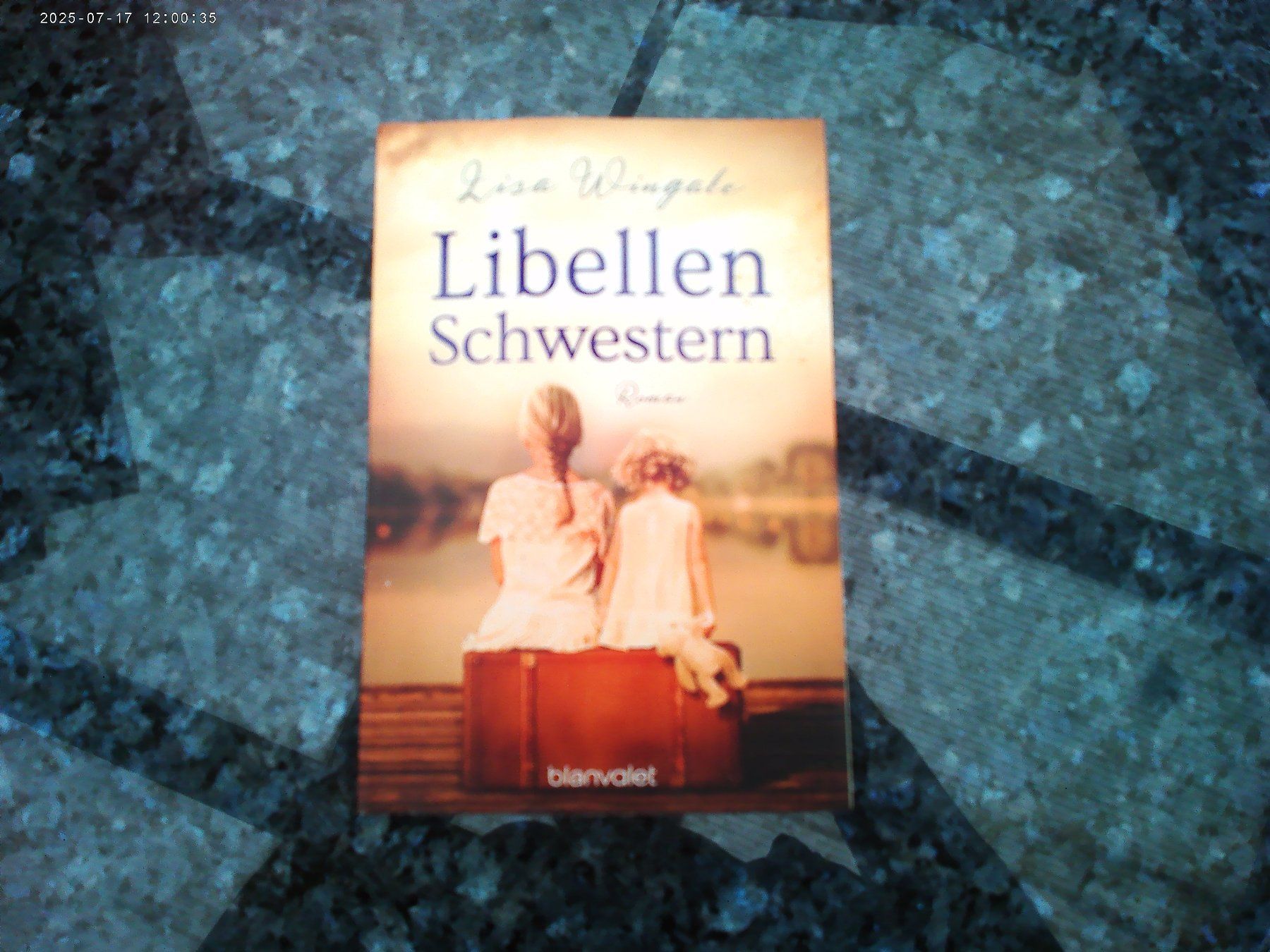 Libri: Libellenschwestern von Lisa Wingale – Usato da reitnau venduto da Sib7