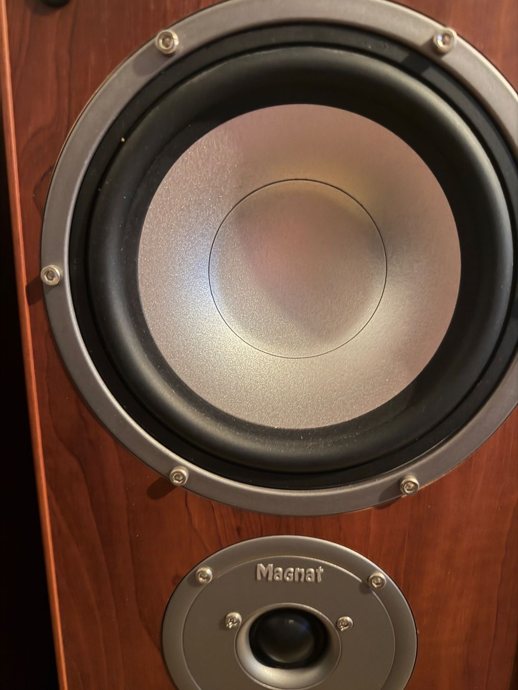 Magnat Haut-parleurs: Magnat Monitor 1000 – D'occasion à Untersiggenthal par jo_black82 7
