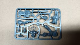 Warhammer 40k Space Marine Lieutenant with relic Shield