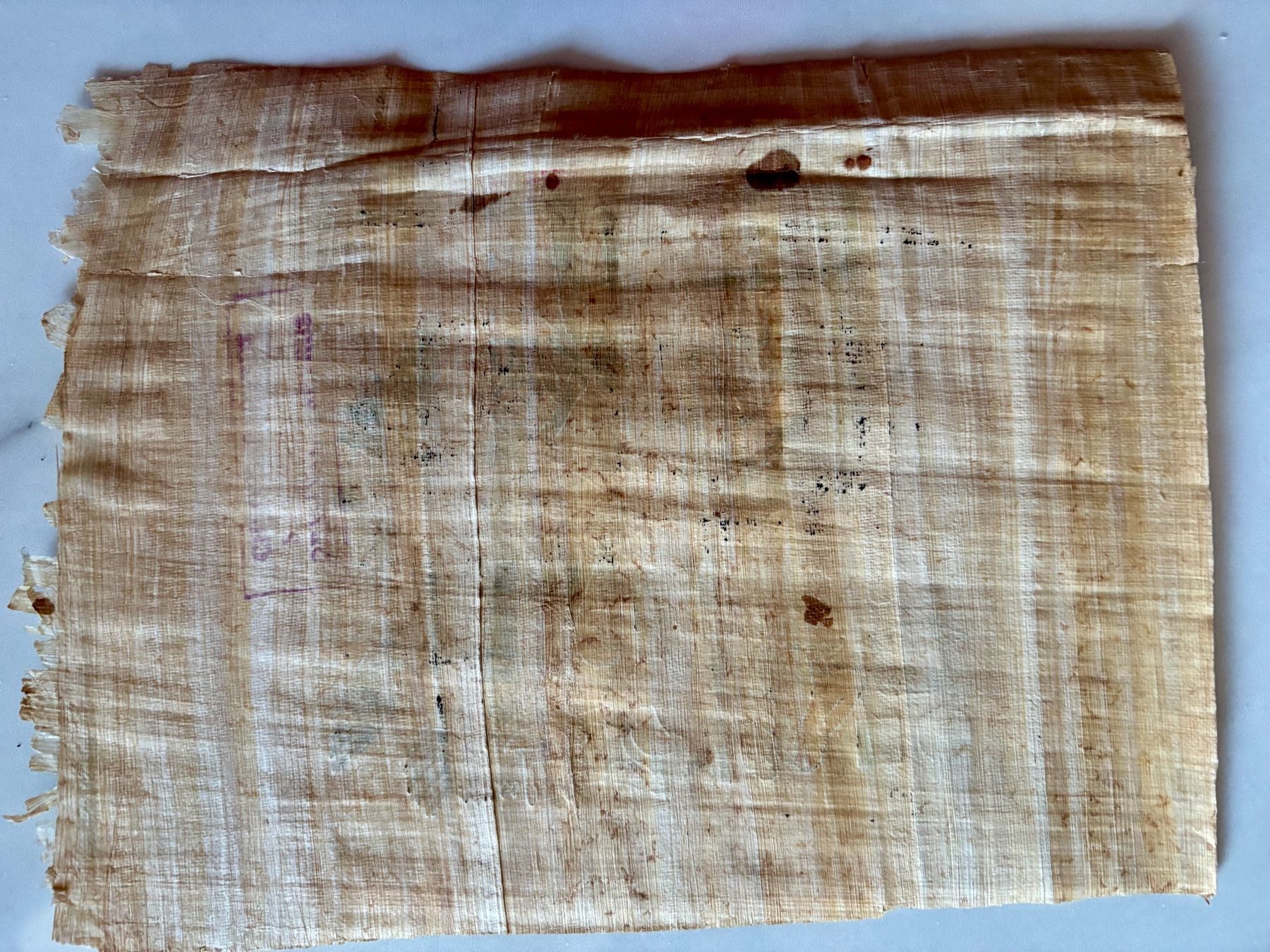 Tutte le decorazioni: Papyrus égyptien – Usato da Losone venduto da courrier 2