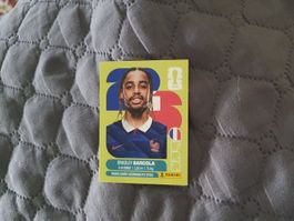 Panini Sticker WM 2026 - FRA 16