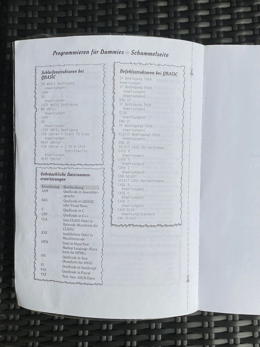 Libri: Programmieren für Dummies – Usato da Kreuzlingen venduto da don_ueli6wb5 3
