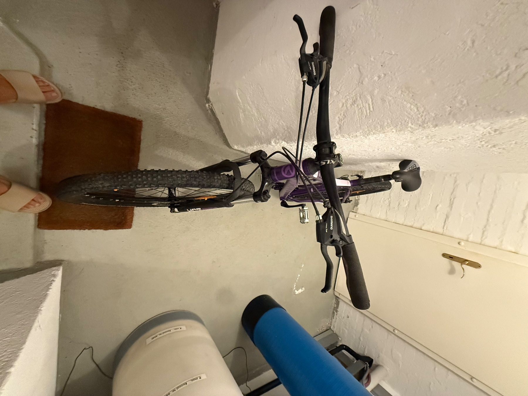 Vélos: Kellys Vanity 50 (Grösse L) – D'occasion à Pfyn par jae_95bn 2
