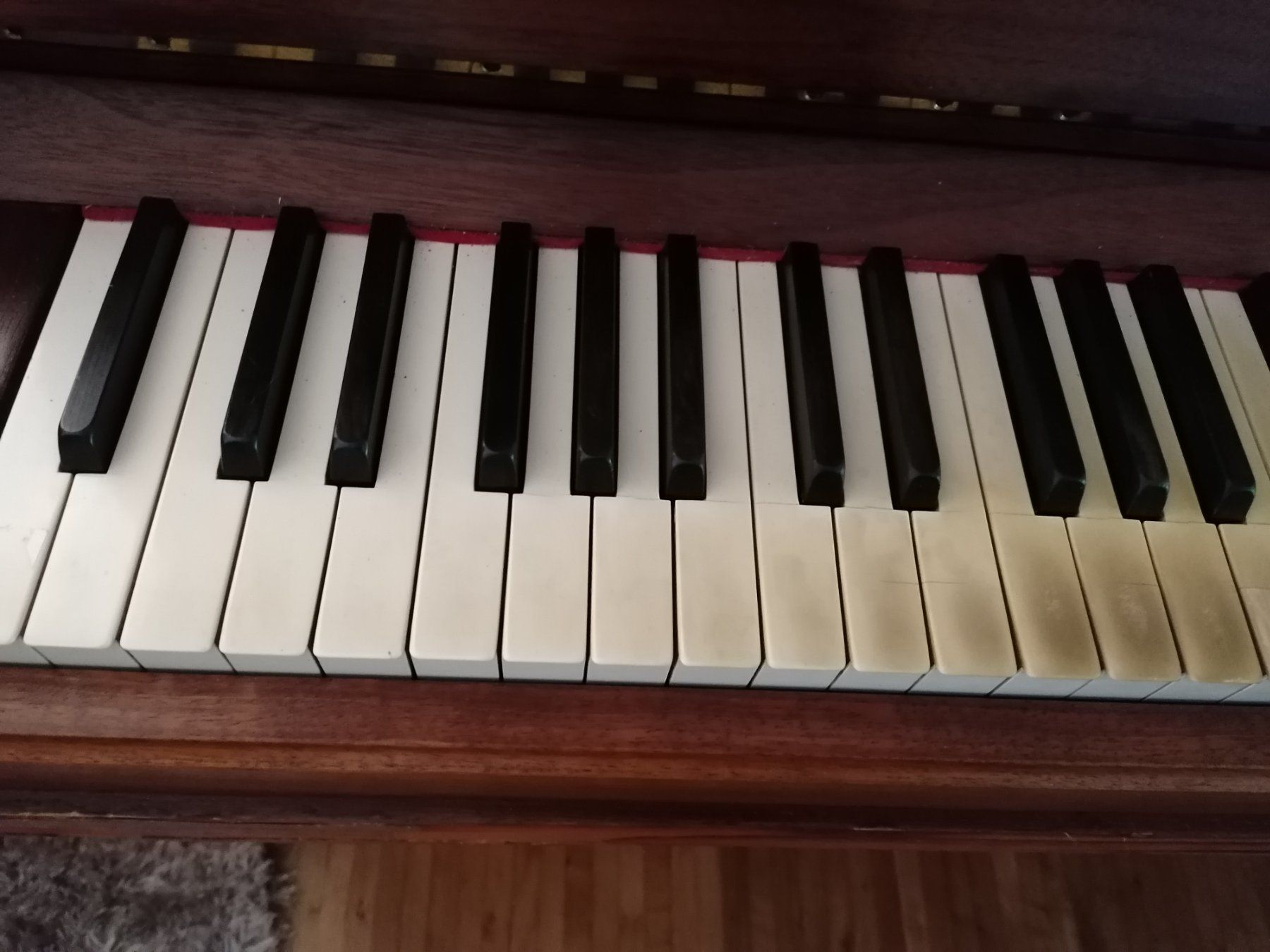 Musikinstrumente: Klavier zu verkaufen – Gebraucht aus Bassersdorf von Supernatura 5