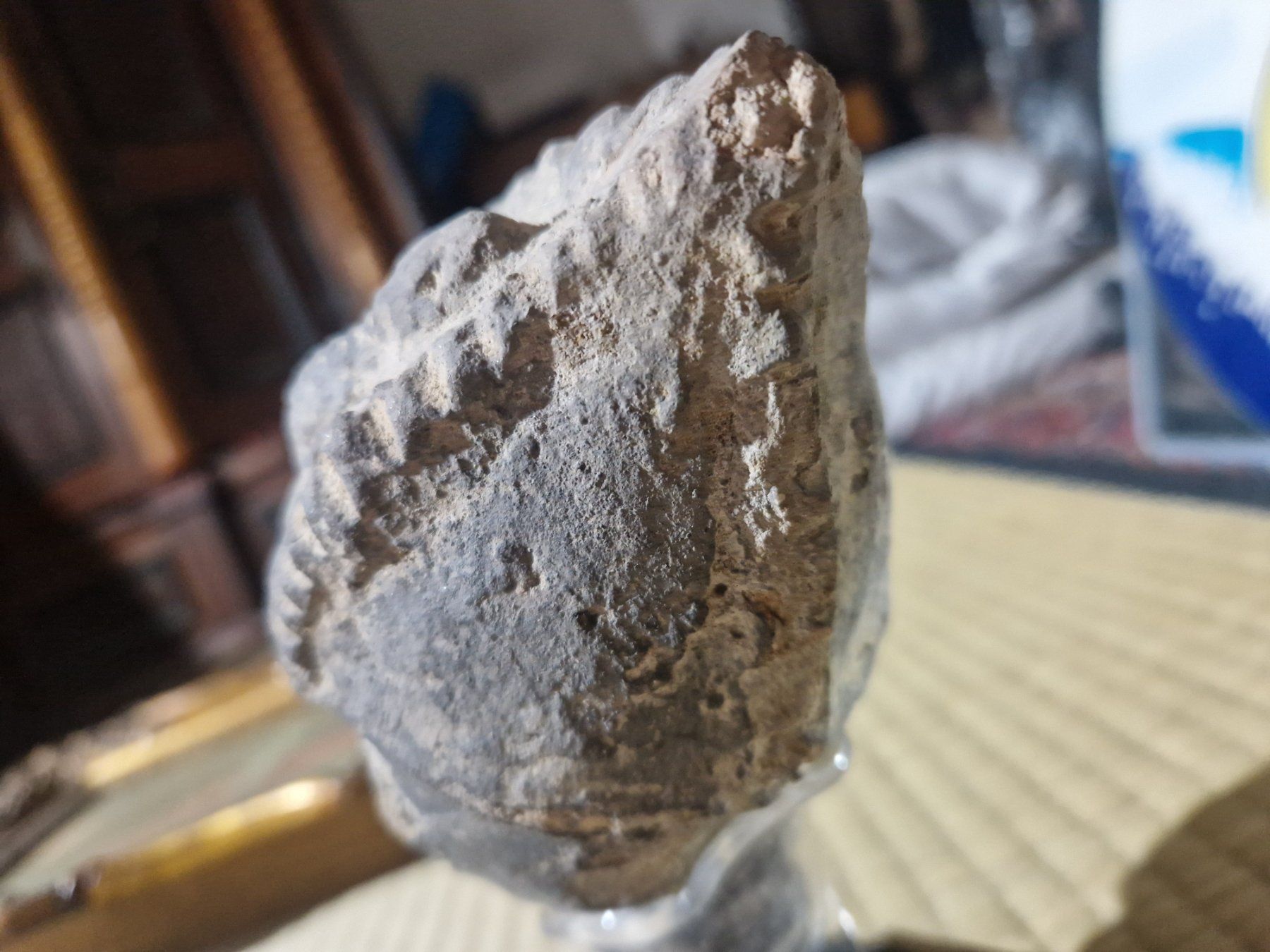 Skulpturen & Statuen: Alien Kopf aus Privatsammlung – Gebraucht aus St. Gallen von JodokGross 3